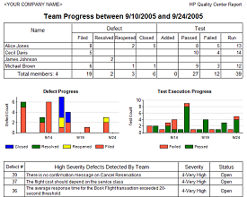 Team Progress Report